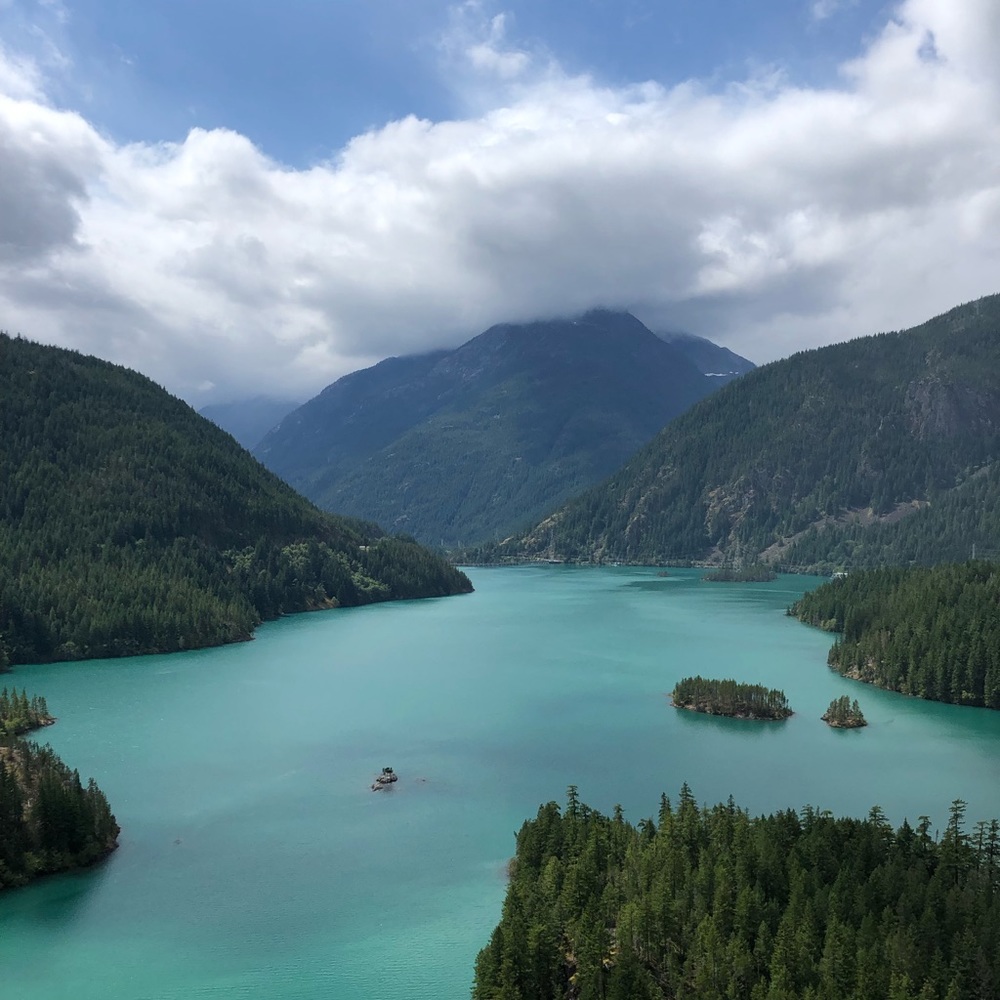 Meet your Posher, Sophie